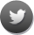 Google+